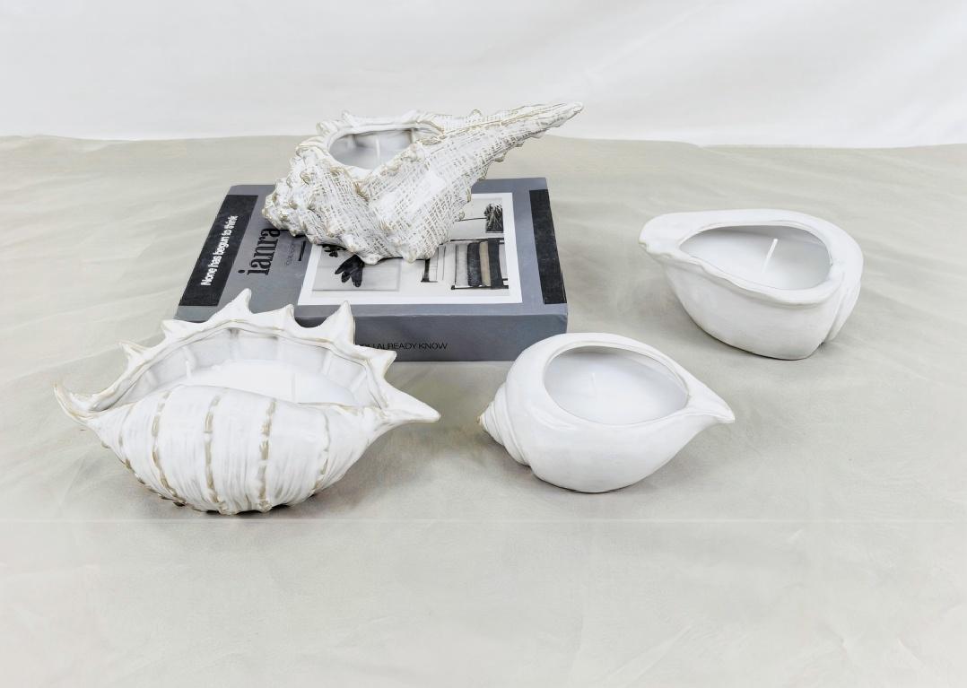 ဖယောင်းသူများသည်ပုံစံအမျိုးမျိုးဖြင့်လာသည်။ သင်တစ် ဦး seashell ကဲ့သို့ပုံဖော်မြင်ဖူးပါသလား